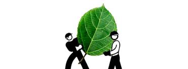 Empleos y Procesos basados en la naturaleza y en disminuir las emisiones que contribuyen al cambio climático...